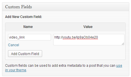 Video link in WordPress custom field