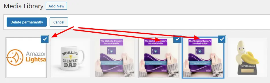 wordpress media library delete multiple files