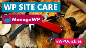 wordpress site care using managewp wpquickies