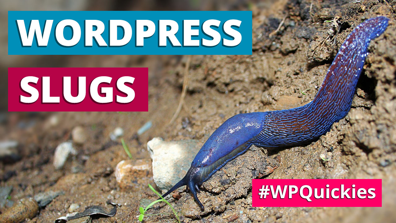 WordPress Slugs What Are They & How To Change Them – WPQuickies