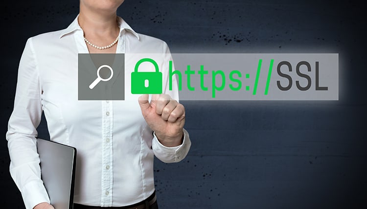 SSL Browser touchscreen is shown by businesswoman.