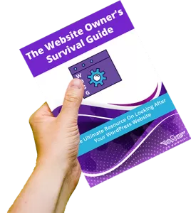 Website Owners Survival Guide