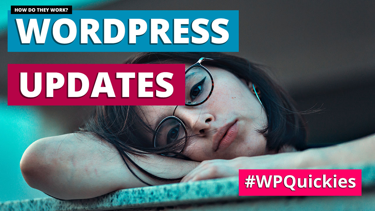 WordPress Updates: How Do They Work? – WPQuickies